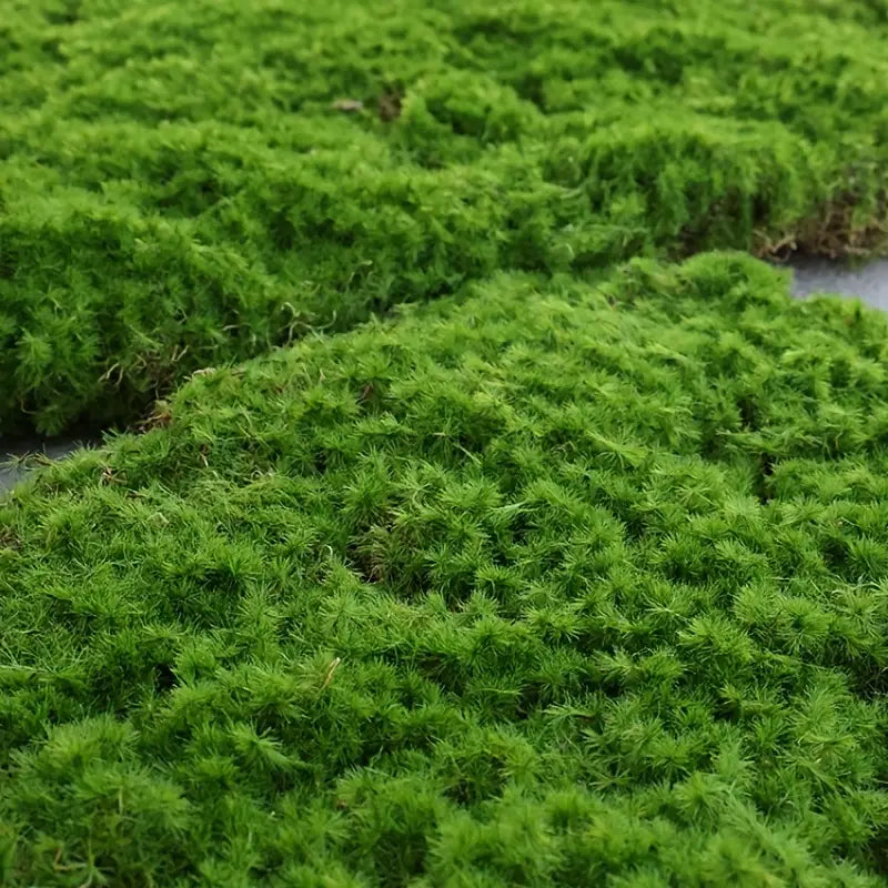 Artificial Mountain Lawn Decoration - Soft-Packed (1pc)